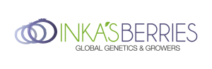 INKAS BERRIES
